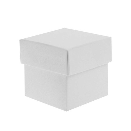Confezione 100 cartoncini bristol a quadretti 5x5 con perforazione  210x297mm - Bianco su